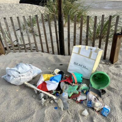 Inside the Beach Cleanup Movements Making a Real Difference