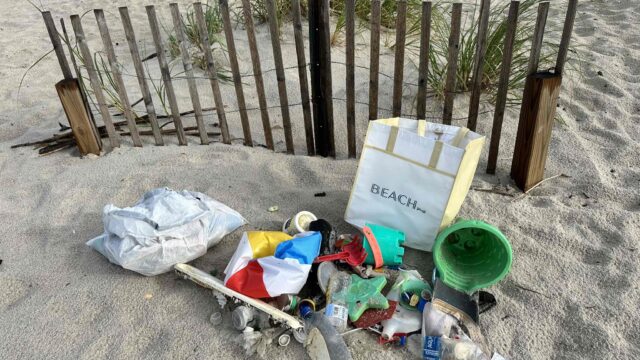 Inside the Beach Cleanup Movements Making a Real Difference