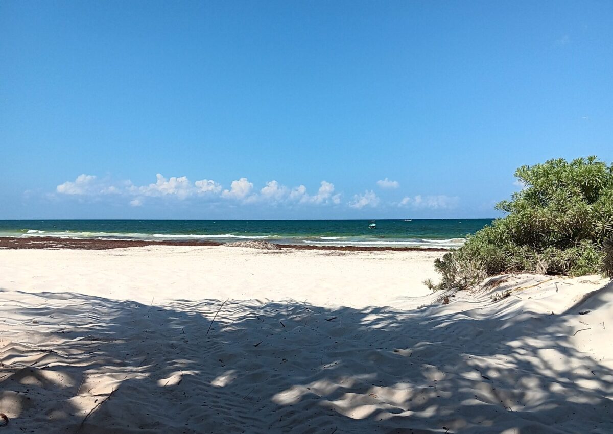 Beach in Tulum, Mexico.