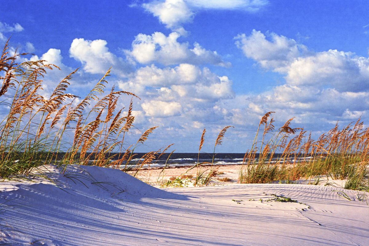 Photo of the beach with sand dunes, sea oats and surf at St George Island Florida on a sunny day.