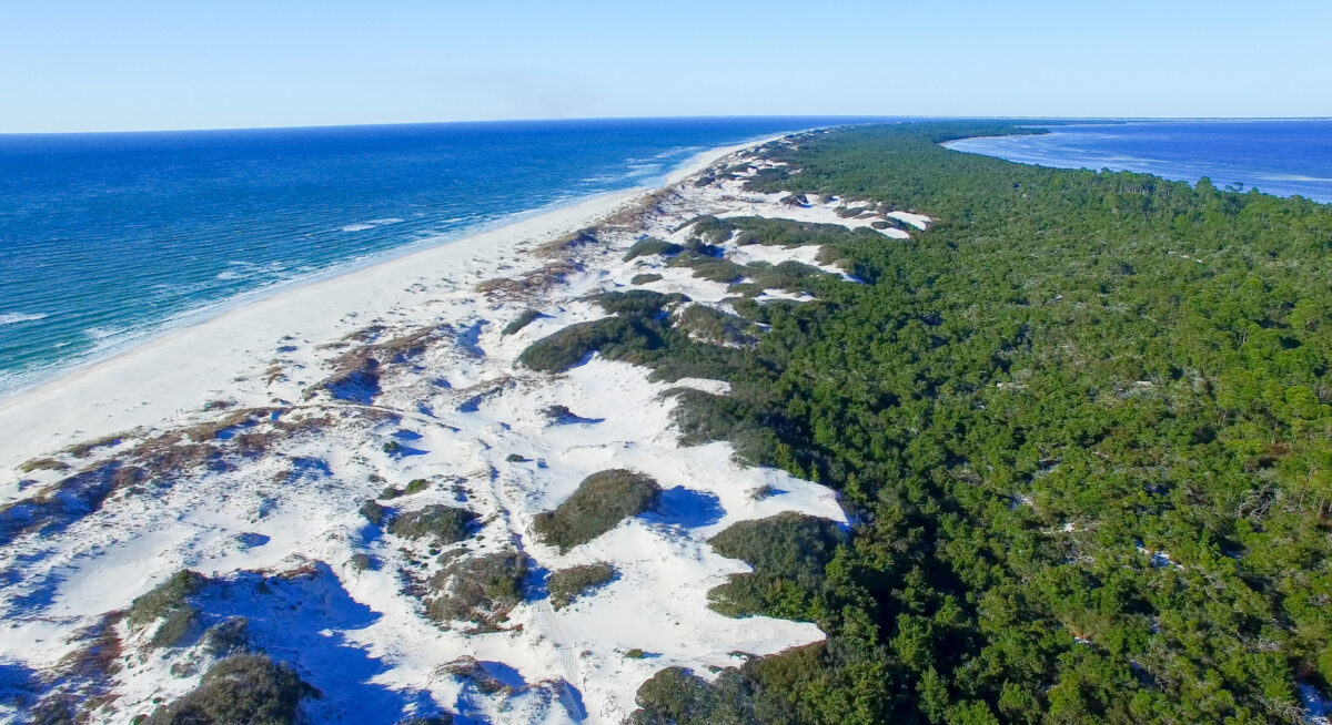 Cape San Blas coastline, Florida aerial view.