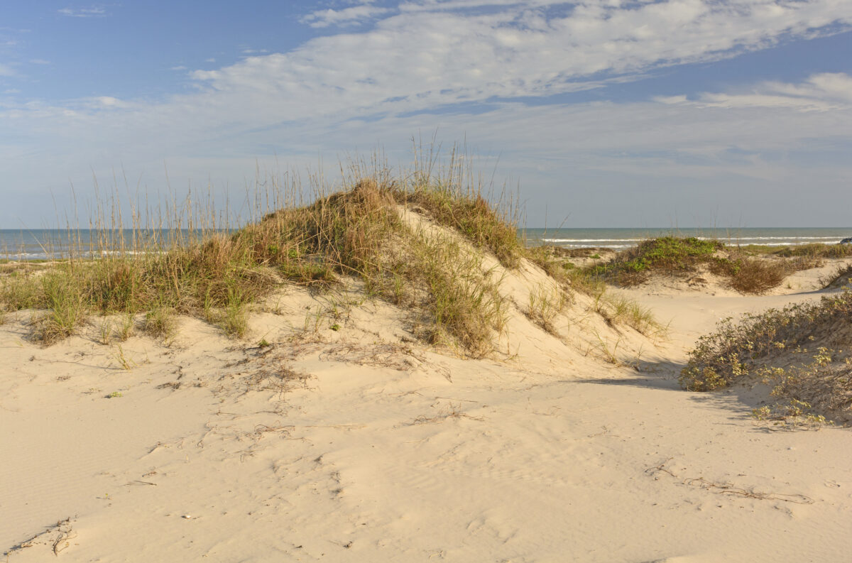 Sand Dunes on the Gulf Coast of Texas at Boca Chica State Park