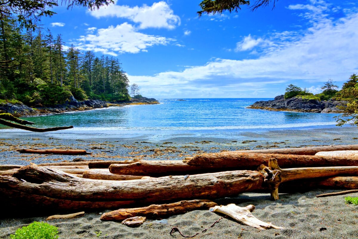Blue water and skies along the coast of Pacific Rim National Park, Vancouver Island, BC, Canada.