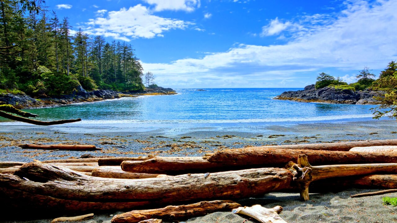 Blue water and skies along the coast of Pacific Rim National Park, Vancouver Island, BC, Canada.