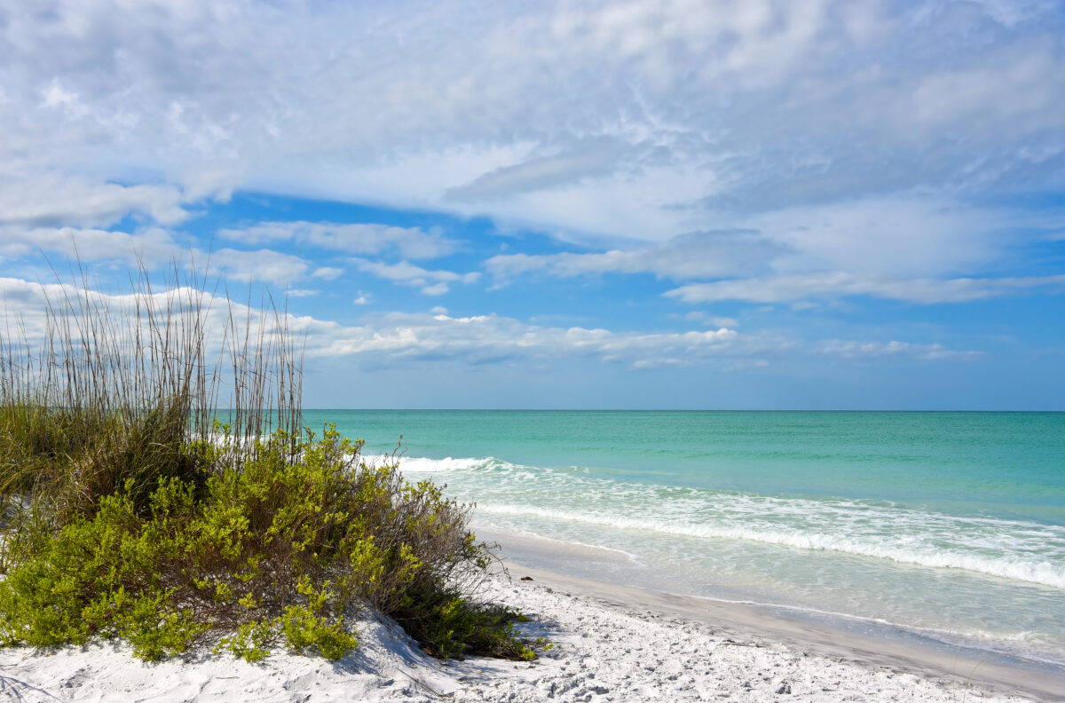 Beautiful Sand Dunes and Sea Oats on the Coastline of Anna Maria Island, Florida