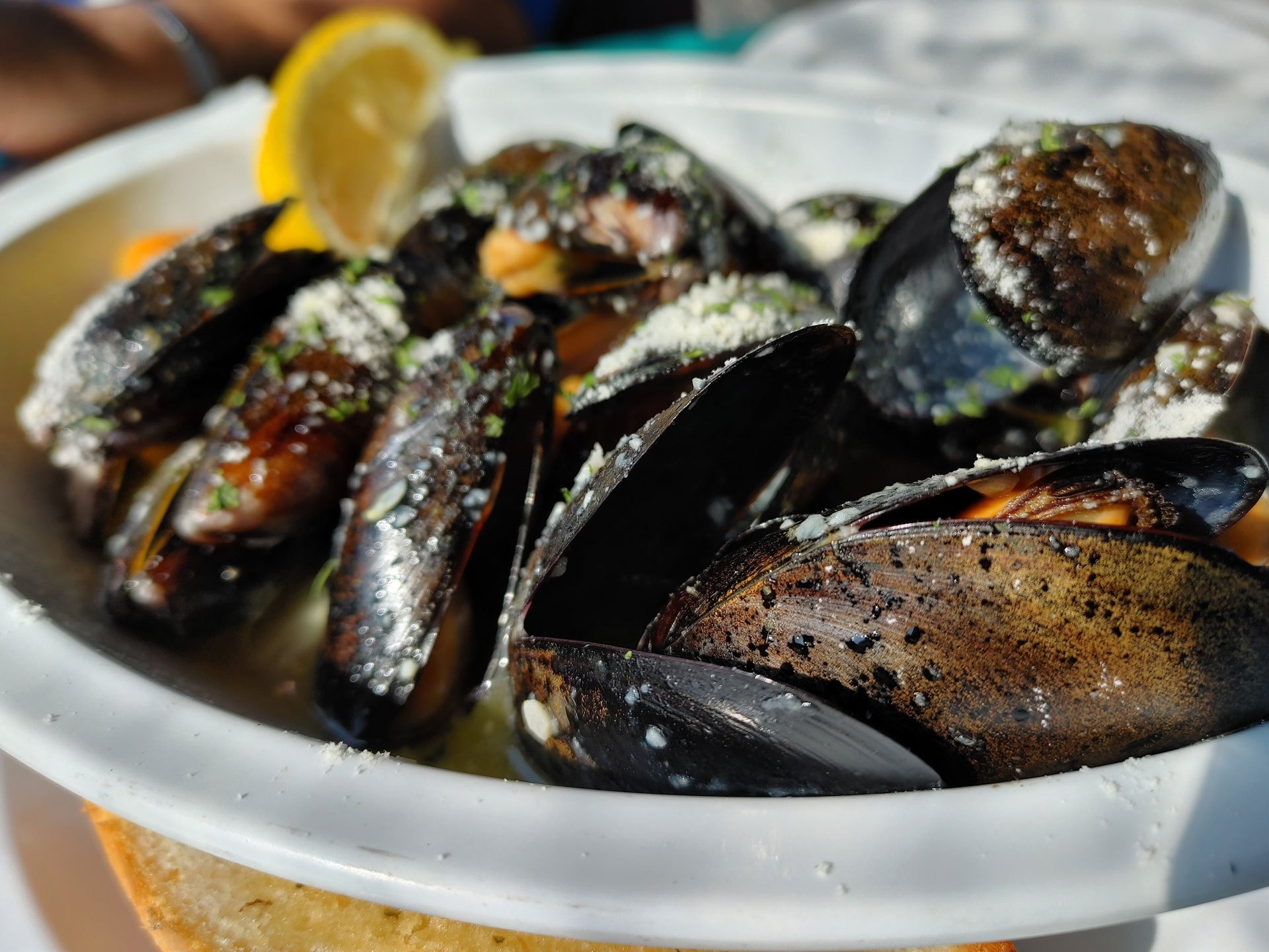 oysters in a bowl at Back Bay Ale House