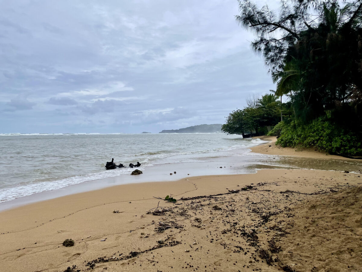 Anini beach