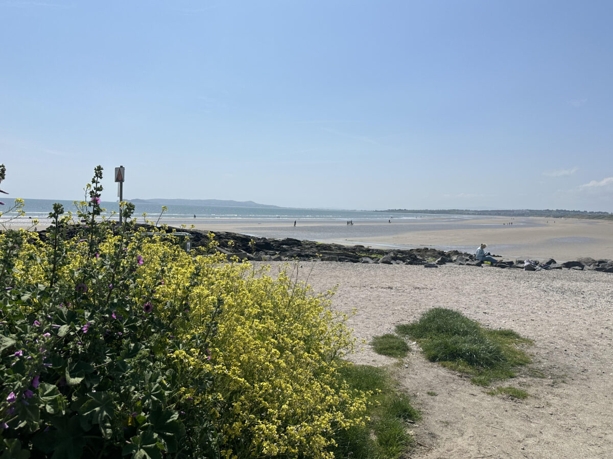 Balcarrick beach in Ireland.