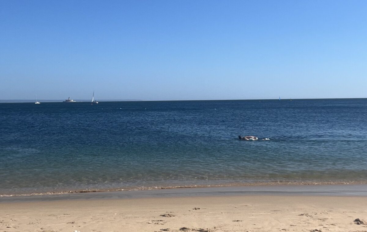 Praia da Rainha beach in Portugal.