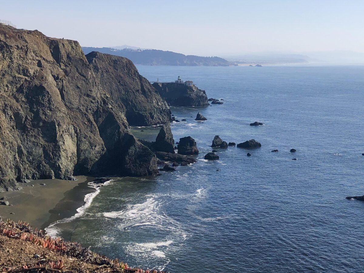 Sausalito beach.