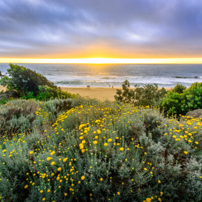 The Best Weekend Beach Towns Near San Francisco