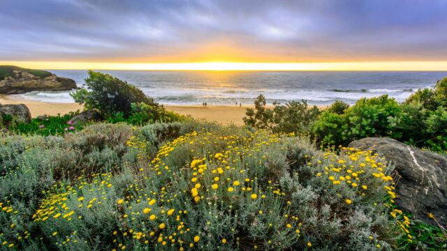 The Best Weekend Beach Towns Near San Francisco