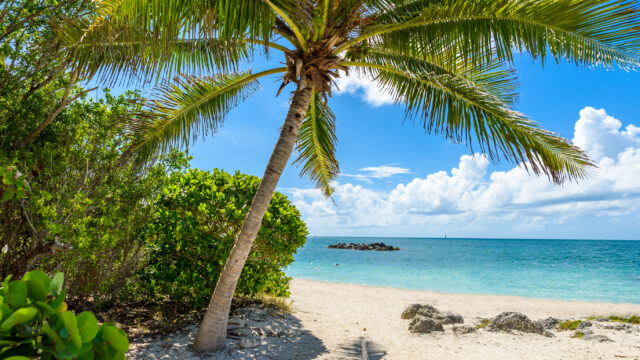 This Caribbean-Style Florida Island Was Just Named a Top 2026 Getaway