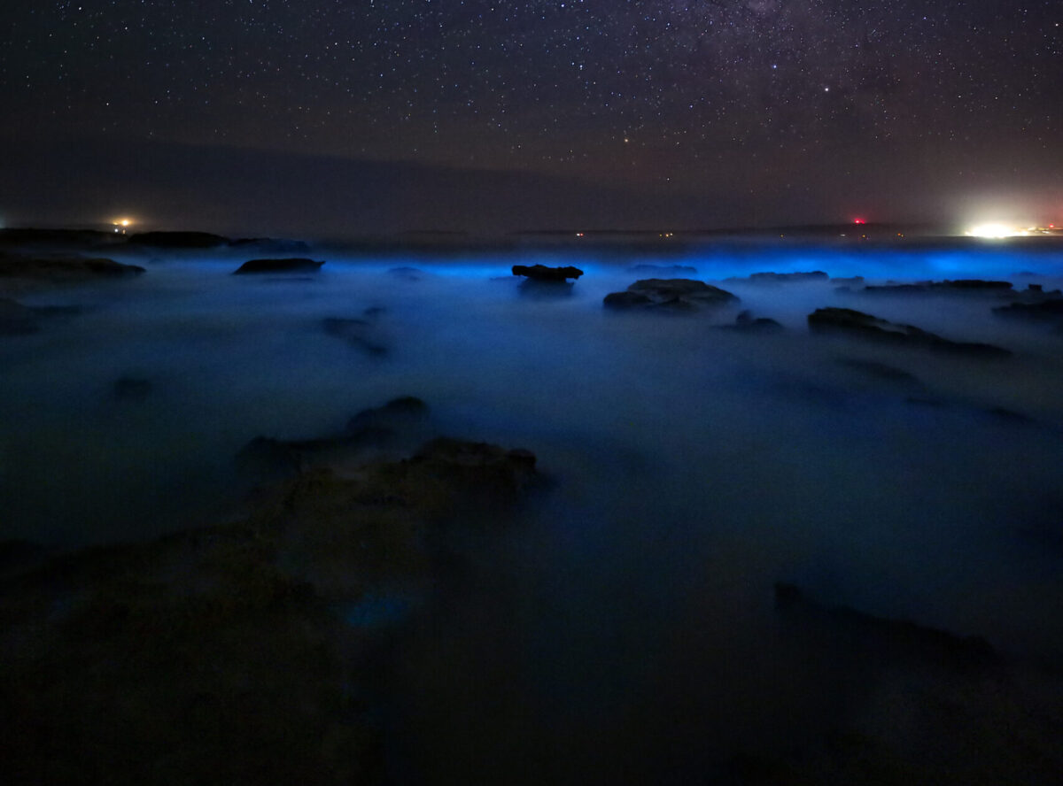 Bioluninescence in Australia. 