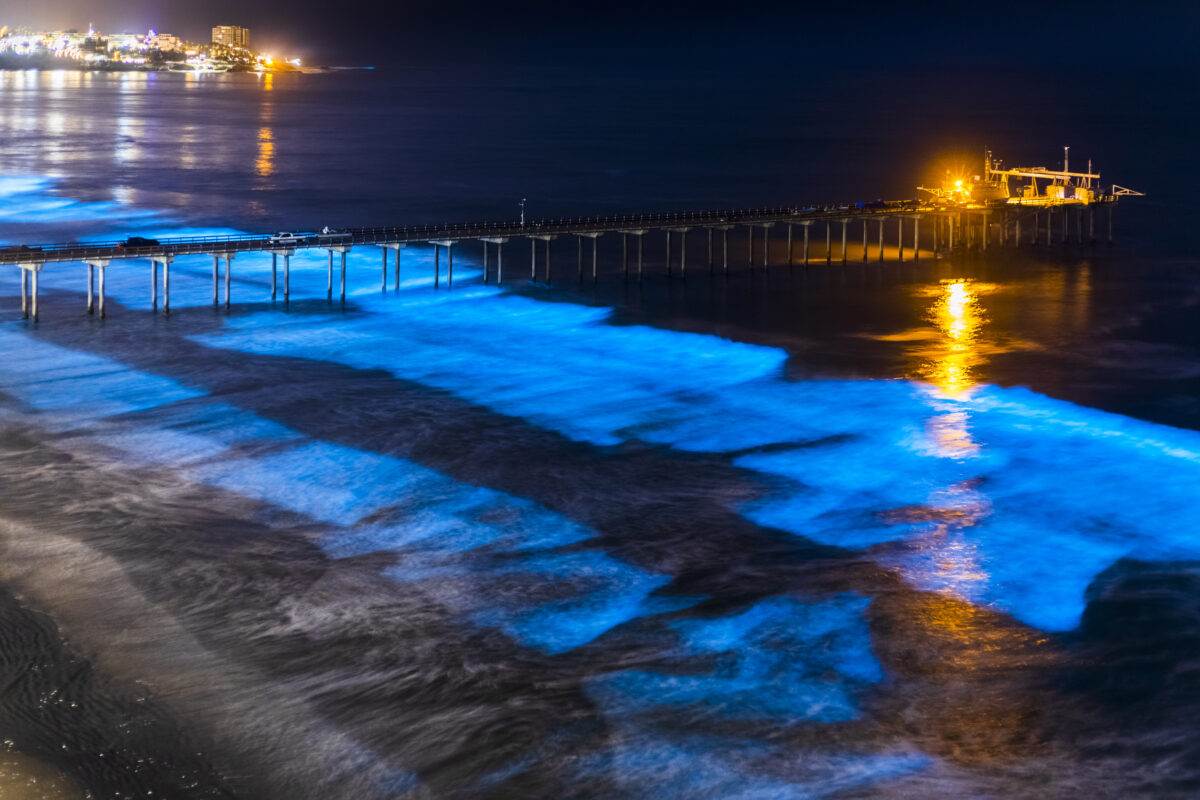 Bioluminescent tide makes the waves glow blue around the Scripps Pier in La Jolla, California.