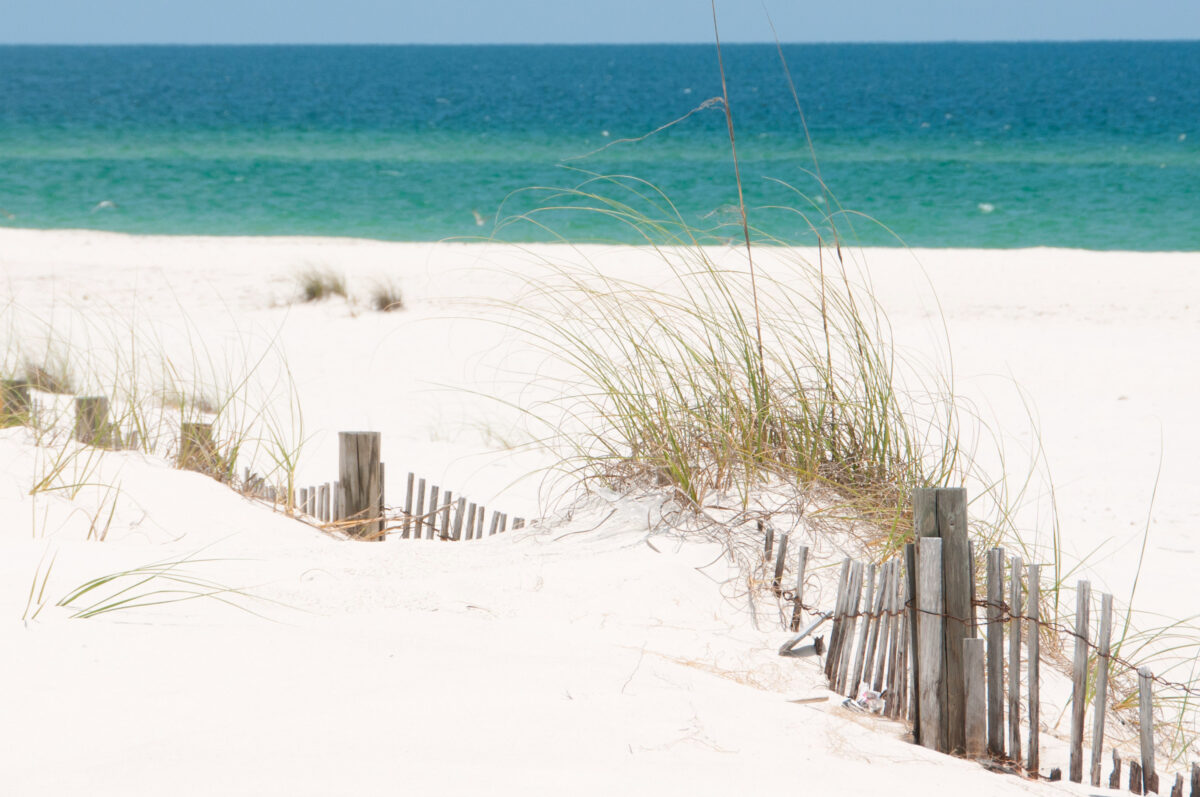 Perdido Key Sand Dune. Sand dune on Perdido Key, Florida.