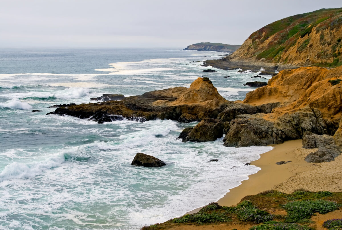 Sonoma Coast, Bodega Bay California.