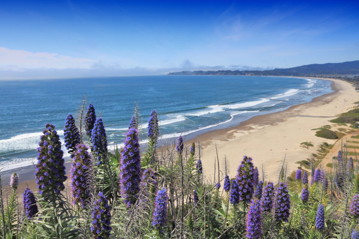 California, United States, Stinson Beach. 