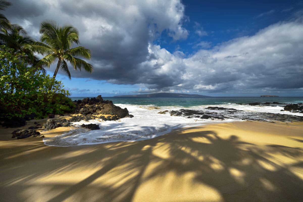 Shadows of palm trees on Secret beach, Maui, Hawaii, USA.