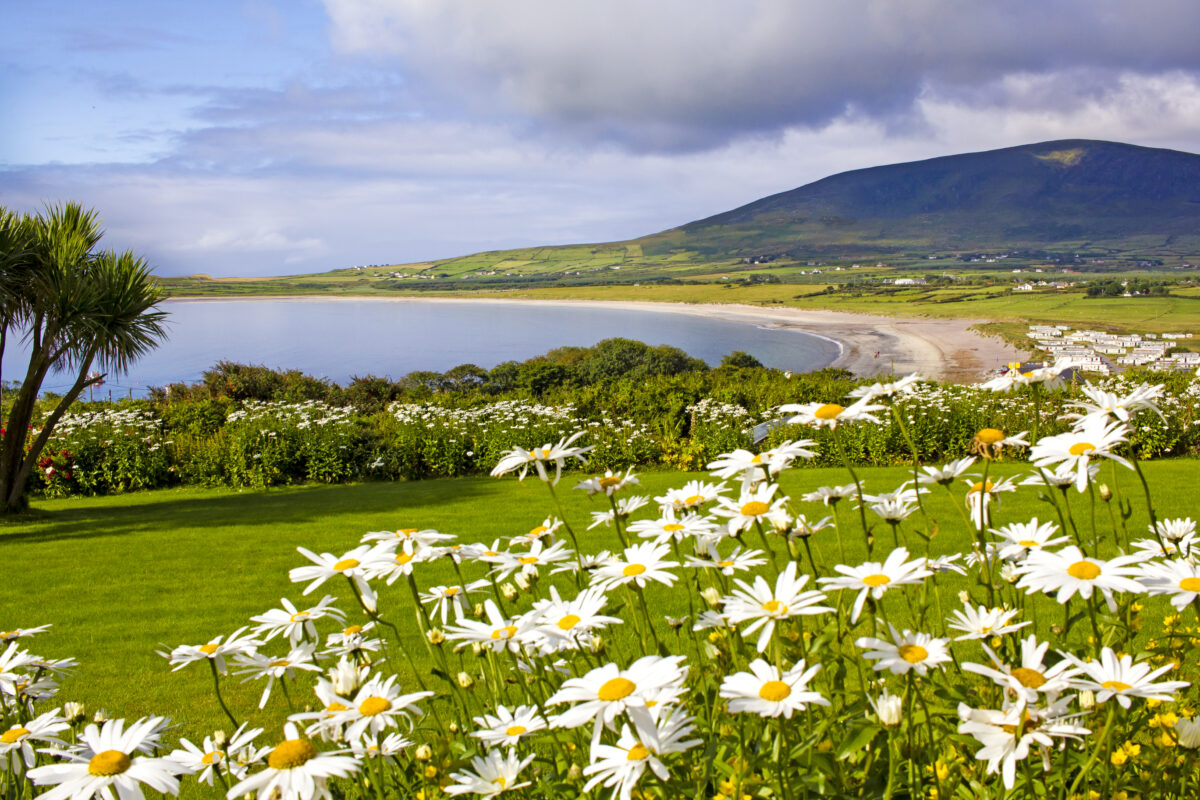 Ventry landscape, Ireland.