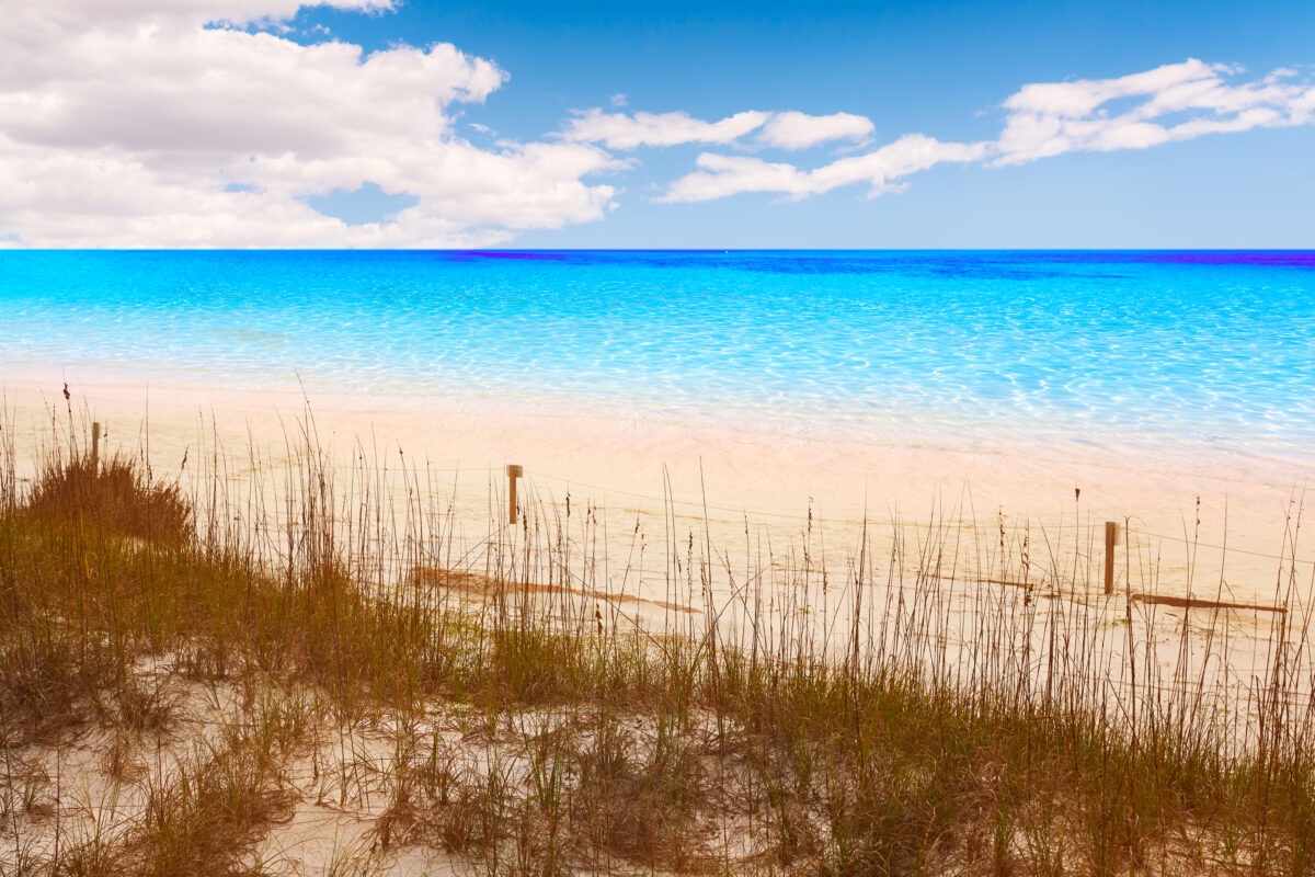 Destin beach in florida at Henderson State Park USA.