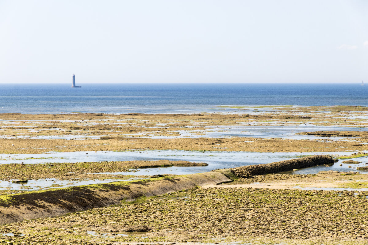 Views of the sea from the Phare des Baleines, with the stone beach and the large subterranean pipes.