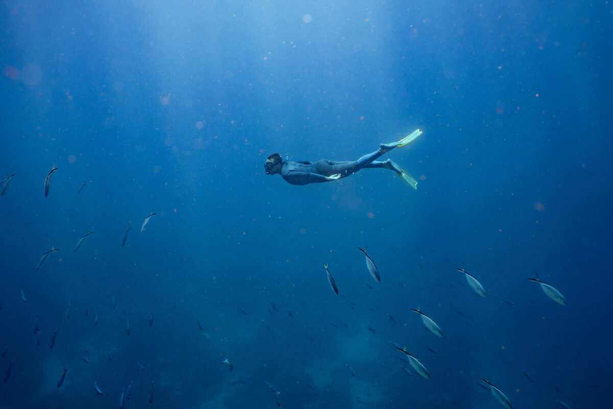 A diver exploring the Jacques Cousteau Underwater Reserve