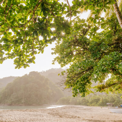 The Untamed Caribbean: An Eco-Lover’s Guide to Trinidad