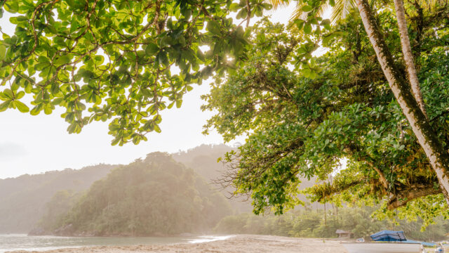 The Untamed Caribbean: An Eco-Lover’s Guide to Trinidad