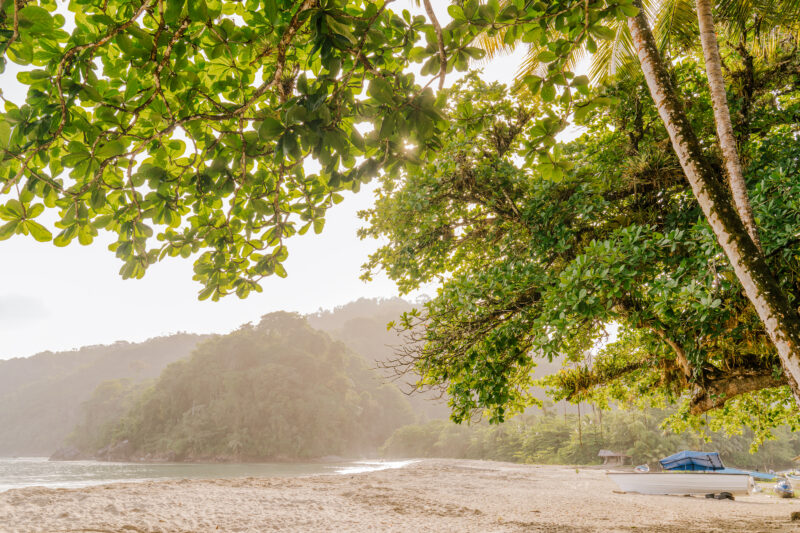 Grand Riviere Beach