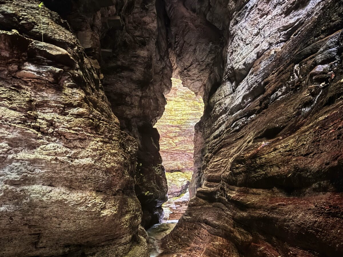 Caves at the Asa Wright Nature Centre