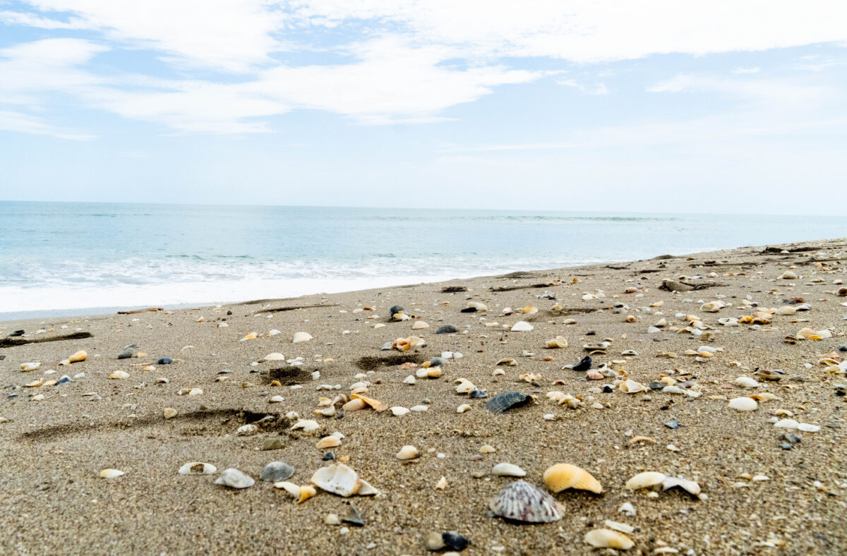 Waveland Beach, Jensen Beach, Hutchinson Island, Florida.