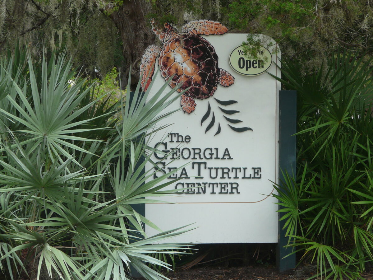 Georgia Sea Turtle Center Open Sign.