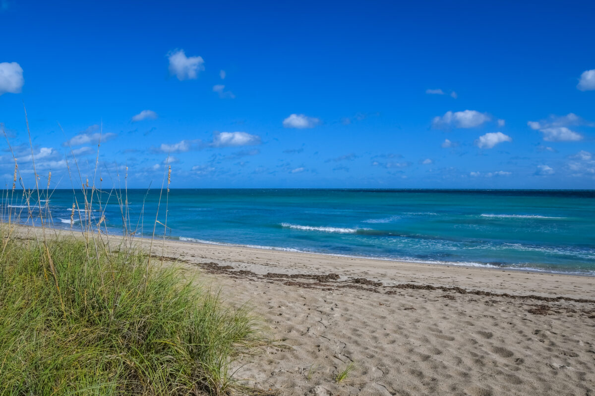 Landscape of a St. Lucie County beach with clouds over a turquoise blue ocean as sea oats grow on the dunes.