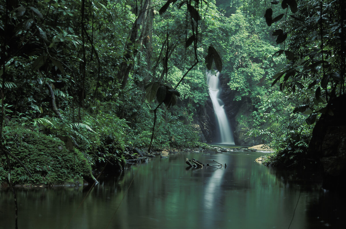 Paria waterfall, Trinidad.