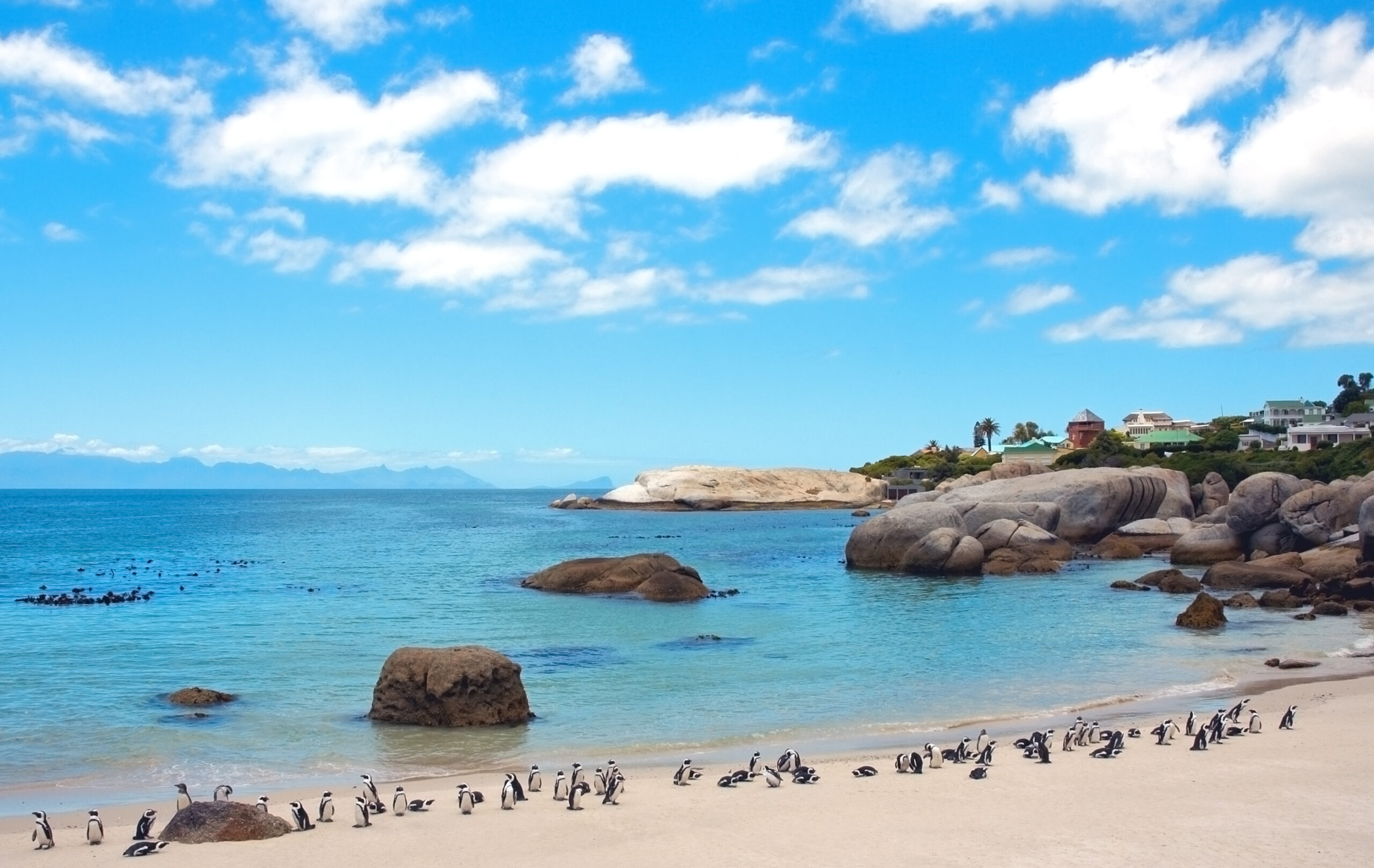 12 Best Beaches in South Africa