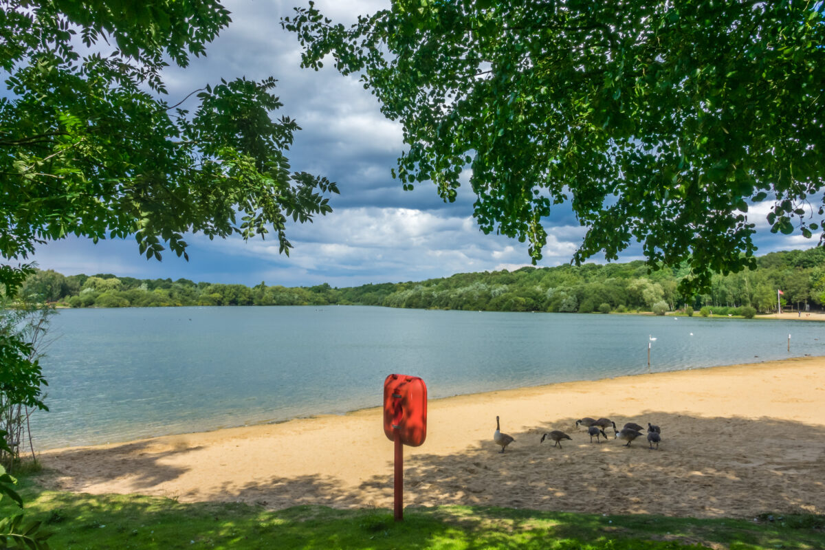 Ducks on the sandy beach of the Ruislip Lido Lake, London.