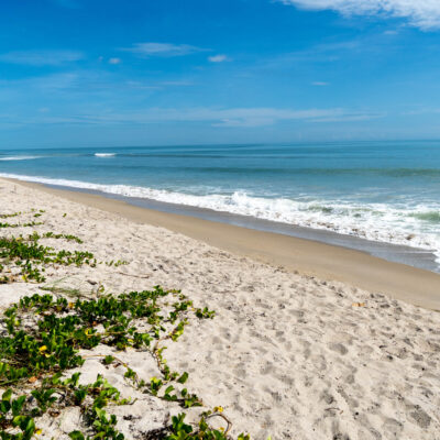 Hutchinson Island, Florida: A Local Guide to Beaches, Dining, and Hidden Gems
