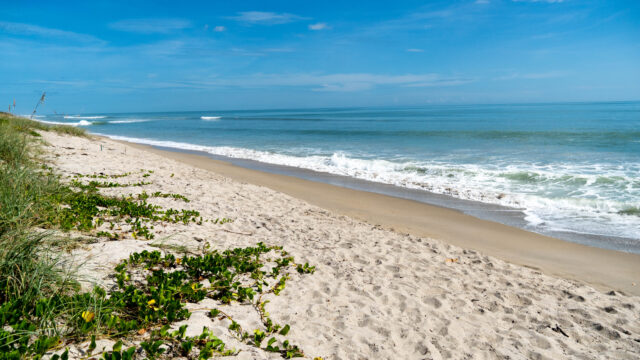 Hutchinson Island, Florida: A Local Guide to Beaches, Dining, and Hidden Gems