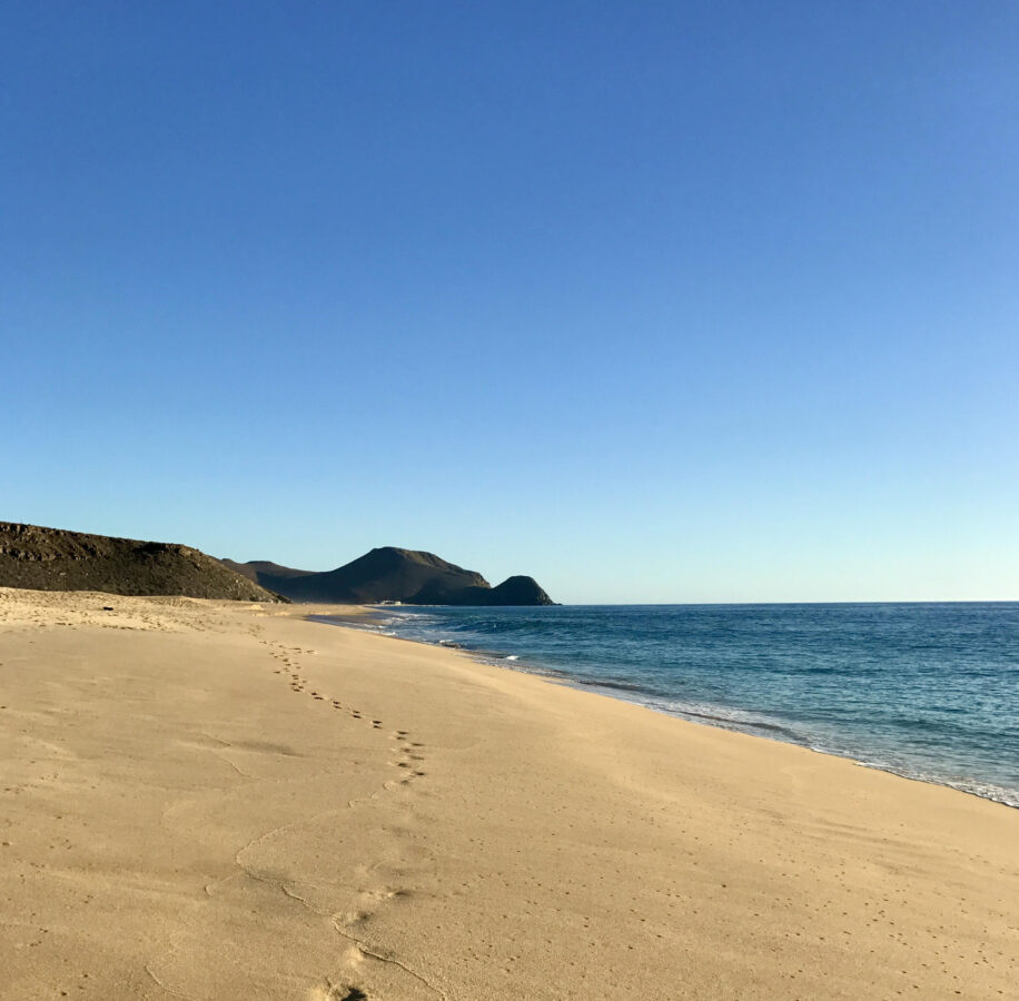 La Pastora south end, Todos Santos Beach.