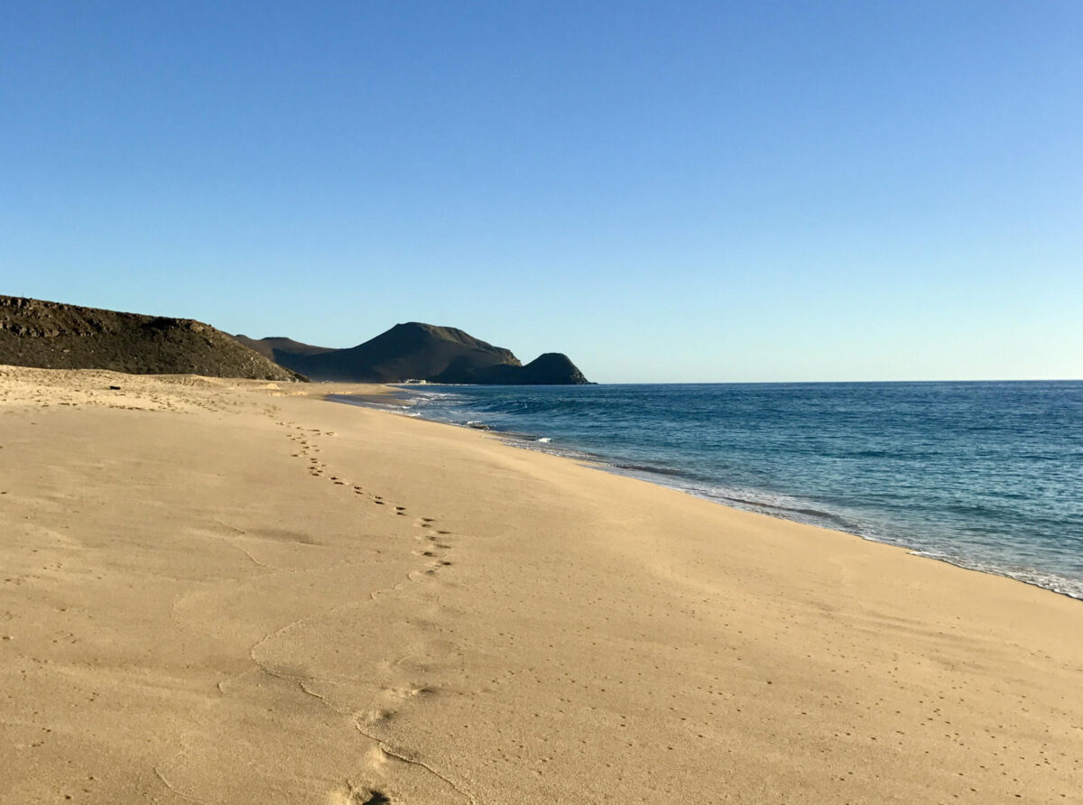La Pastora south end, Todos Santos Beach.