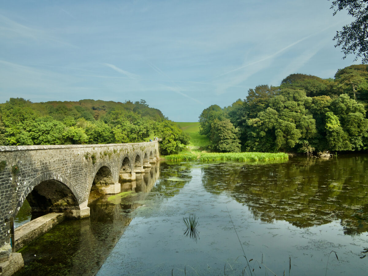Stackpole Park Bosherston lake Pembroke Pembrokeshire Wales United Kingdom Europe.