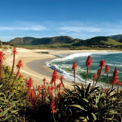 This California Beach Was Just Ranked No. 1 in the Entire U.S.