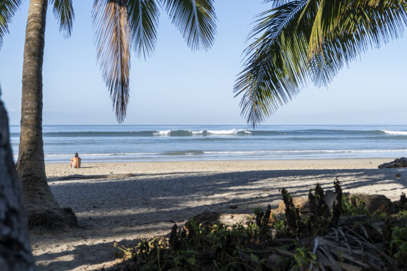 Beautiful beach with palm trees, ocean, perfect waves for surf, Costa Rica.
