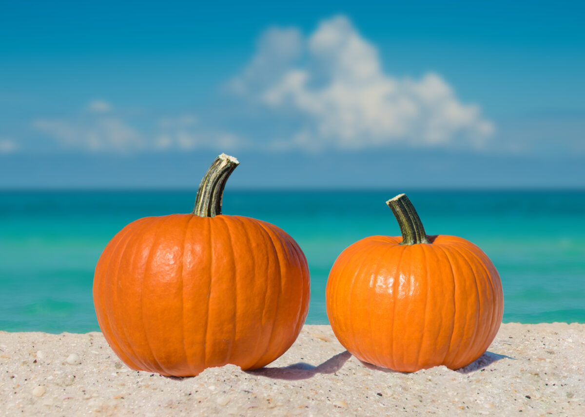 Pumpkin on the beach, Florida.