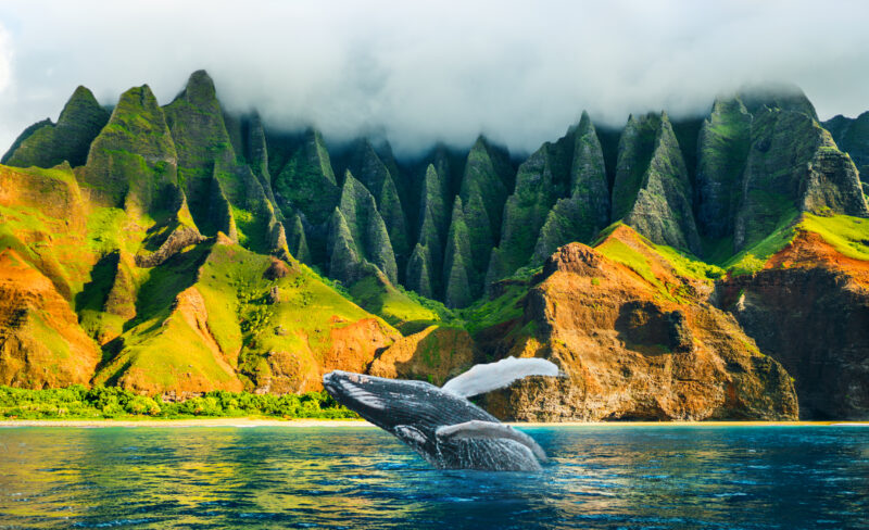 Whale watching sunset cruise tour at Na Pali Coast, Kauai island, Hawaii.