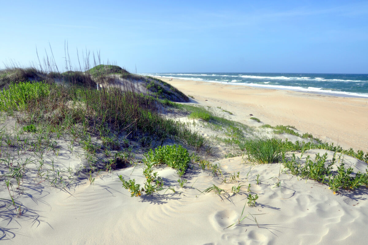 Sand Dune in Cape Hatteras, North Carolina. 