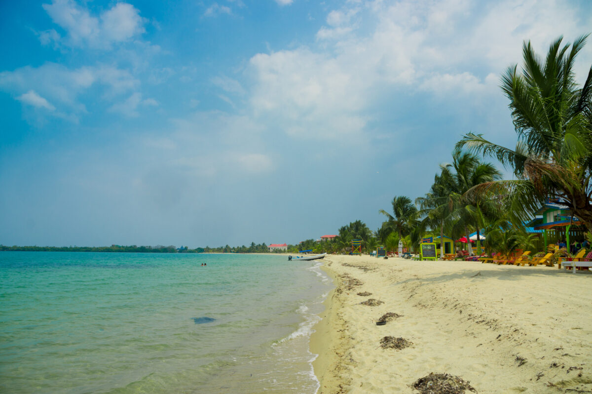Beach placencia belize. Beautiful landscape of beach in placencia belize caribbean.