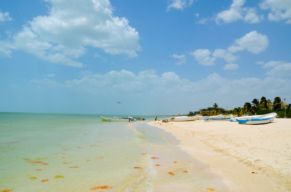 Celestun Beach, Yucatan, Mexico.