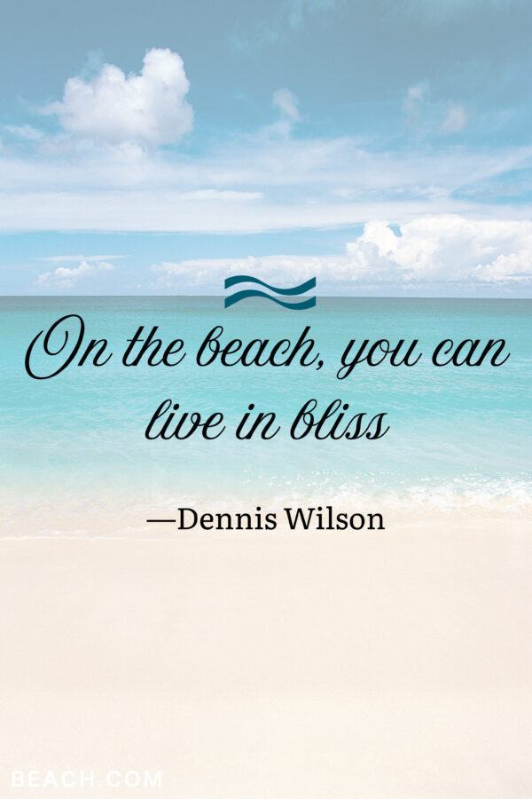 “On the beach, you can live in bliss.” — Dennis Wilson